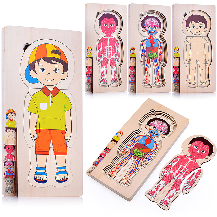 Пазл-вкладыш D2039 "Мальчик