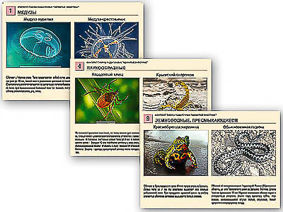 Комплект таблиц раздаточных "Ядовитые животные"